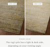 Bradbury BRU-02 Dove/Gold Area Rug by Jean Stoffer X Loloi Lifestyle Image Feature
