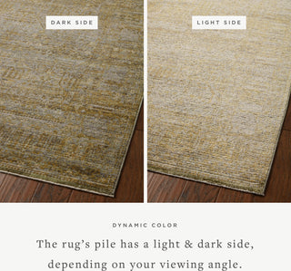 Bradbury BRU-02 Dove/Gold Area Rug by Jean Stoffer X Loloi Lifestyle Image Feature