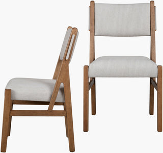 Surya Bergene BRGN-001 Light Beige / Brown Furniture Main Image