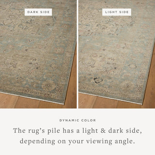 Loloi Briar BRR-01 Sky / Moss Area Rug Lifestyle Image Feature