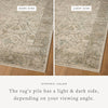 Loloi Briar BRR-02 Ivory / Sage Area Rug Lifestyle Image Feature