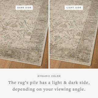 Loloi Briar BRR-02 Ivory / Sage Area Rug Lifestyle Image Feature