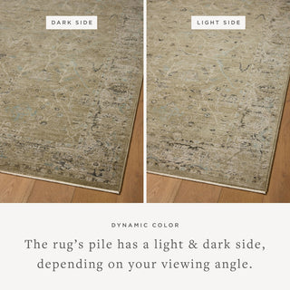 Loloi Briar BRR-02 Olive / Stone Area Rug Lifestyle Image Feature