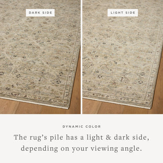 Loloi Briar BRR-03 Silver / Moss Area Rug Lifestyle Image Feature