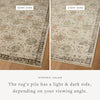 Loloi Briar BRR-04 Ivory / Multi Area Rug Lifestyle Image Feature