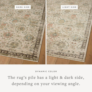 Loloi Briar BRR-04 Ivory / Multi Area Rug Lifestyle Image Feature