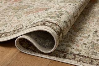 Loloi Briar BRR-04 Ivory / Multi Area Rug Pile Image