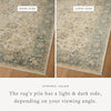 Loloi Briar BRR-05 Ant Ivory / Blue Area Rug Lifestyle Image Feature