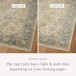 Loloi Briar BRR-05 Ant Ivory / Blue Area Rug Lifestyle Image Feature