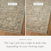 Loloi Briar BRR-05 Fog / Sand Area Rug Lifestyle Image Feature
