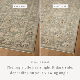 Loloi Briar BRR-05 Fog / Sand Area Rug Lifestyle Image Feature