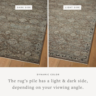 Loloi Briar BRR-06 Bark / Lagoon Area Rug Lifestyle Image Feature