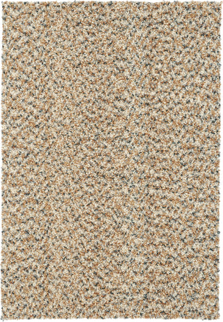 Brink and Campman Arch Natural Area Rug main image