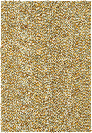 Brink and Campman Arch Chutney Area Rug main image