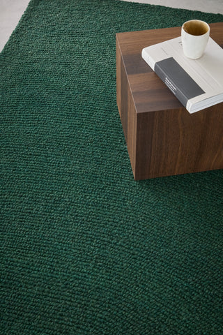 Brink and Campman Decor Echo Forest Area Rug Room Image Feature