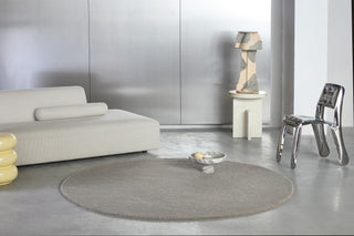 Brink and Campman Decor Echo Pebble Area Rug Round Room Image Feature