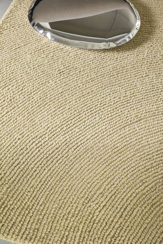 Brink and Campman Decor Echo Sand Area Rug Room Image Feature