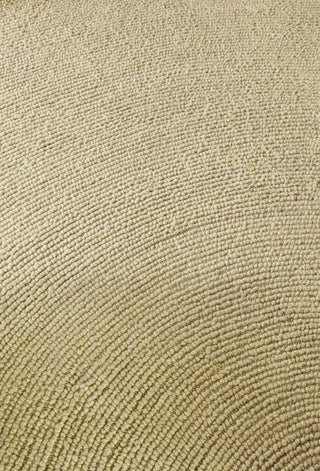 Brink and Campman Decor Echo Sand Area Rug Room Image Feature