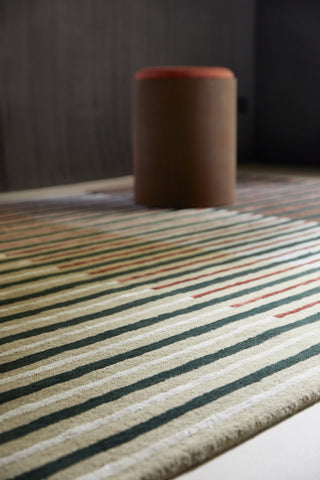 Brink and Campman Decor Proof Area Rug Room Image Feature