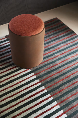 Brink and Campman Decor Proof Area Rug Room Image Feature