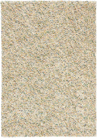 Brink and Campman Dots Confetti Area Rug main image