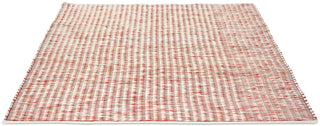 Brink and Campman Grain Coral Area Rug Angle Image