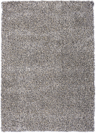 Brink and Campman Jazz Plush Carbon Area Rug main image