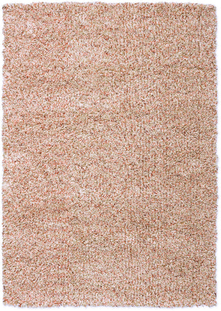 Brink and Campman Jazz Plush Pumpkin Area Rug main image