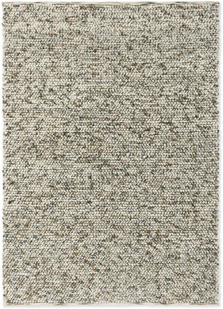 Brink and Campman Marble Moss Area Rug main image