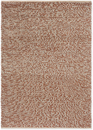 Brink and Campman Nest Leather Area Rug main image