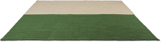 Brink and Campman Deck Spring Green Area Rug Angle Image