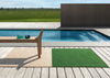 Brink and Campman Deck Spring Green Area Rug Room Image Feature