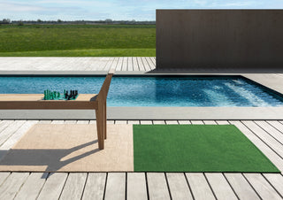 Brink and Campman Deck Spring Green Area Rug Room Image Feature