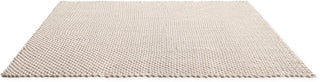 Brink and Campman Lace Sage Grey/White Sand Area Rug Angle Image