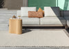 Brink and Campman Lace White Sand Area Rug Room Image Feature