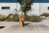 Brink and Campman Zona Check Denim Area Rug Room Image Feature