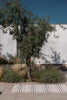 Brink and Campman Zona Line Charcoal Area Rug Room Image Feature