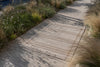 Brink and Campman Zona Line Sesame Area Rug Room Image Feature