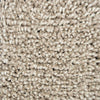 Brink and Campman Origin High Greige Area Rug main image