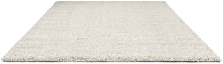 Brink and Campman Origin Loop Mist Area Rug Angle Image