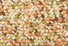 Brink and Campman Pebble Pumpkin Area Rug main image