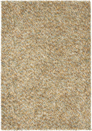 Brink and Campman Pop Art Chutney Area Rug main image