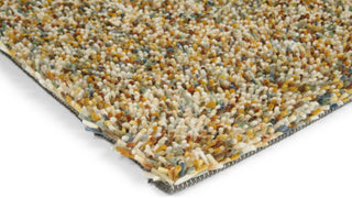 Brink and Campman Pop Art Chutney Area Rug Corner Image
