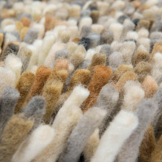 Brink and Campman Rocks Natural Area Rug Closeup Image