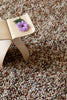 Brink and Campman Rocks Pumpkin Area Rug Room Image Feature