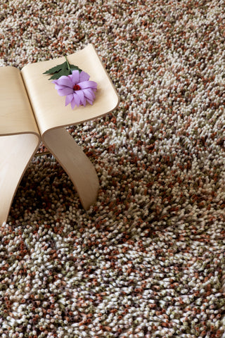 Brink and Campman Rocks Pumpkin Area Rug Room Image Feature