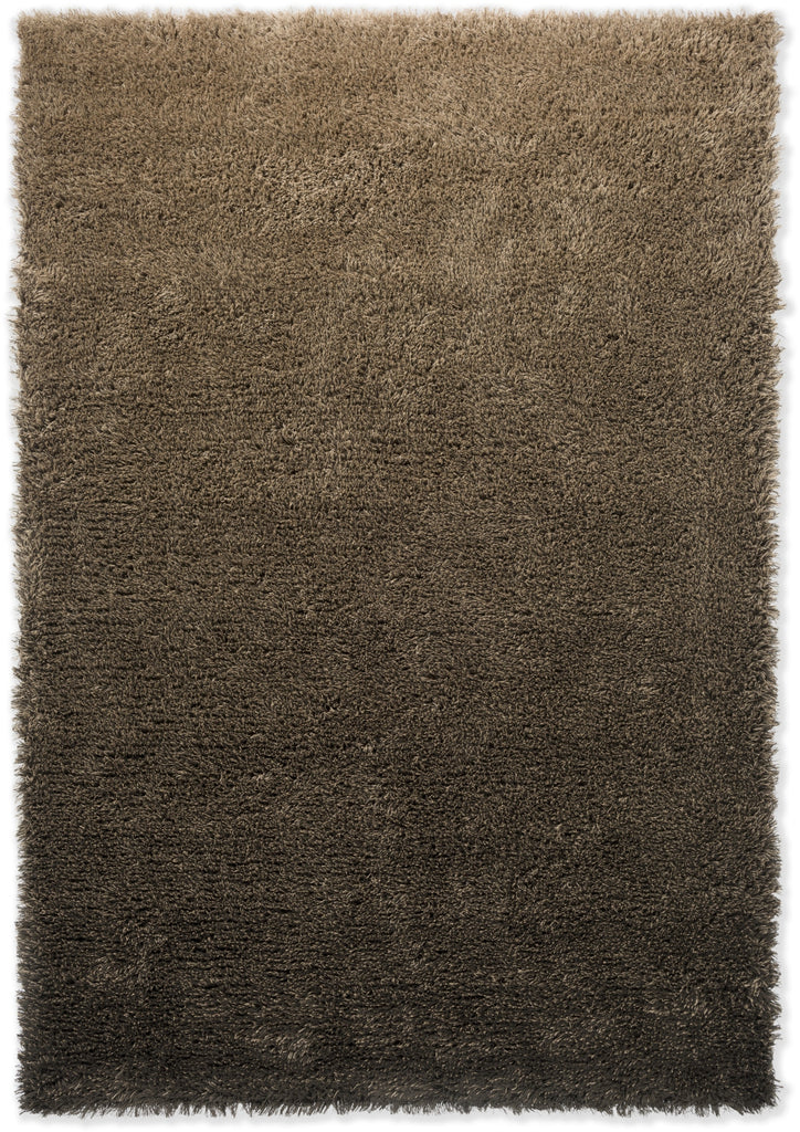 Brink and Campman Shade High Beige/Dark Chocolate Area Rug main image