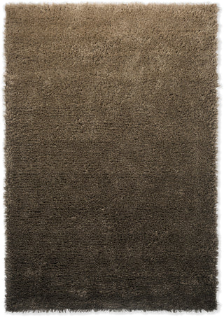 Brink and Campman Shade High Beige/Dark Chocolate Area Rug main image