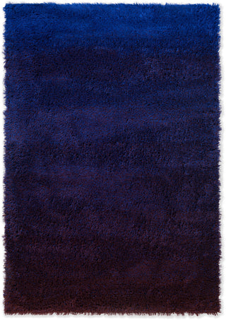 Brink and Campman Shade High Electric Blue/Aubergine Area Rug main image