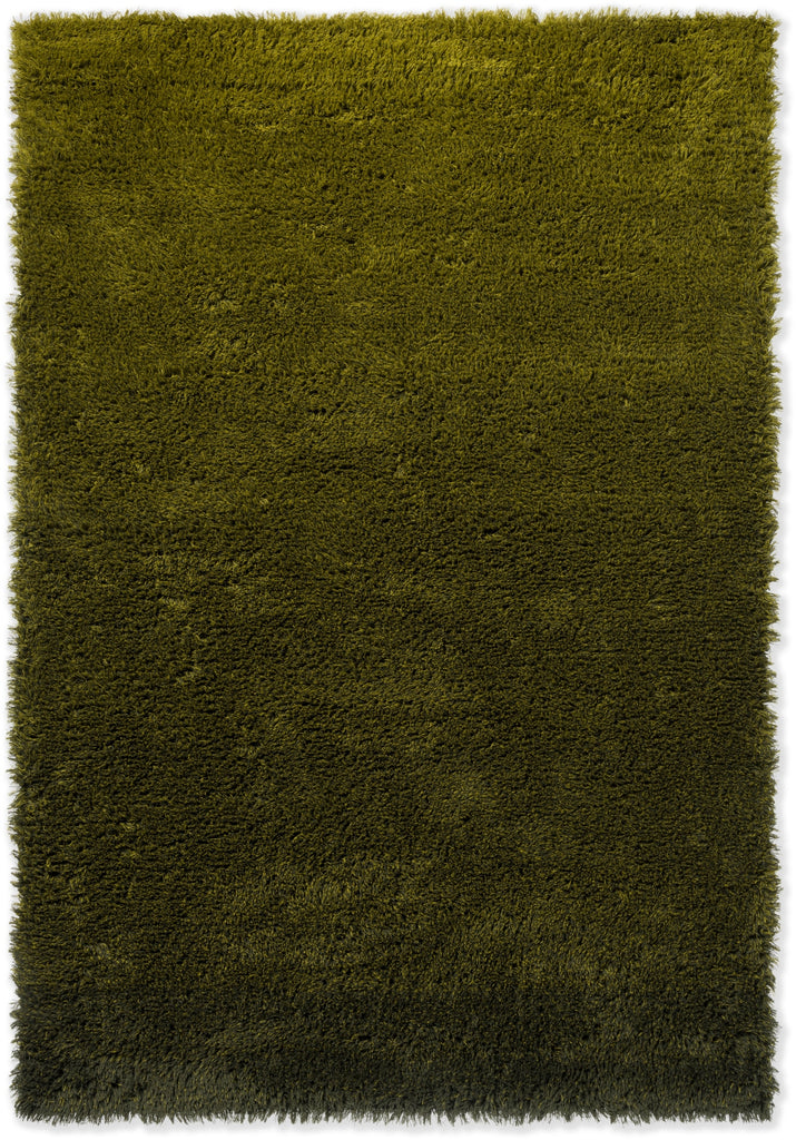 Brink and Campman Shade High Olive/Deep Forest Area Rug main image